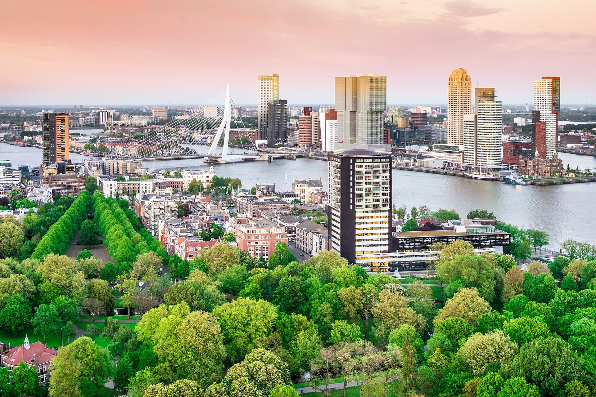 Rotterdam Zuid